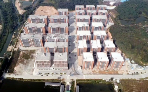 观察 ∣ 3.5年潜心打造，何以让新州美谷成为新会大泽镇凤栖之地？